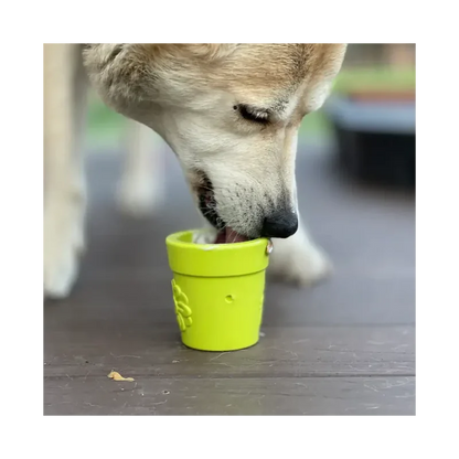 Jouet à mâcher pour chien - Flower Pot Sodapup - Occupation 