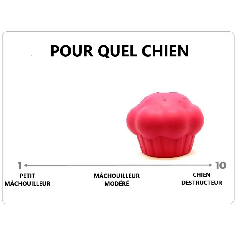Jouet à mâcher pour chiens - Cupcake Sodapup - Pour chiens destructeurs 