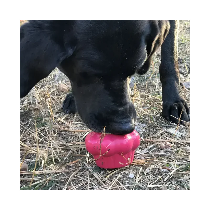 Jouet à mâcher pour chiens - Cupcake Sodapup - 2 tailles M ou L