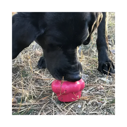 Jouet à mâcher pour chiens - Cupcake Sodapup - 2 tailles M ou L