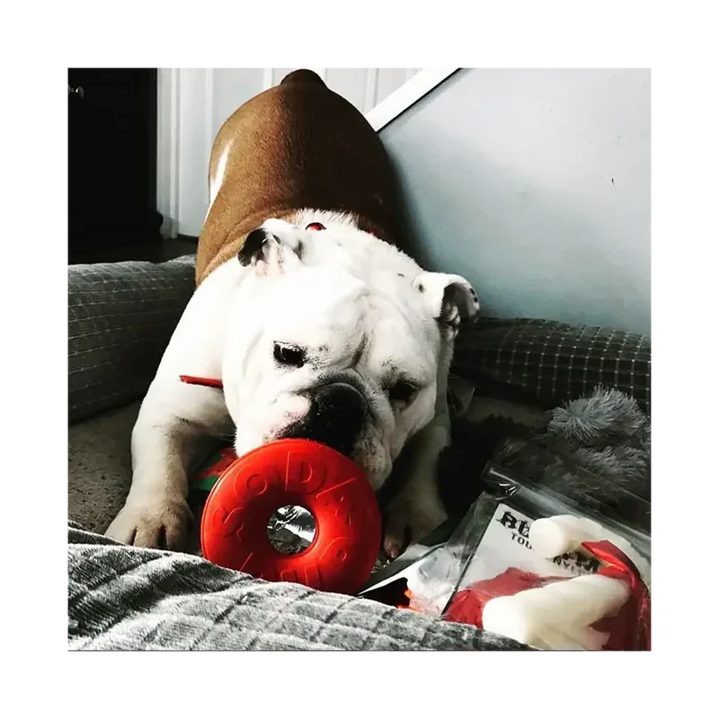 Jouet à mâcher pour chiens - Live Saver Sodapup - Made in USA - Distributeur de friandises 