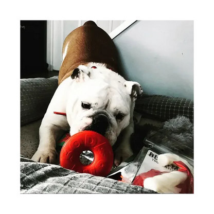 Jouet à mâcher pour chiens - Live Saver Sodapup - Made in USA - Distributeur de friandises 