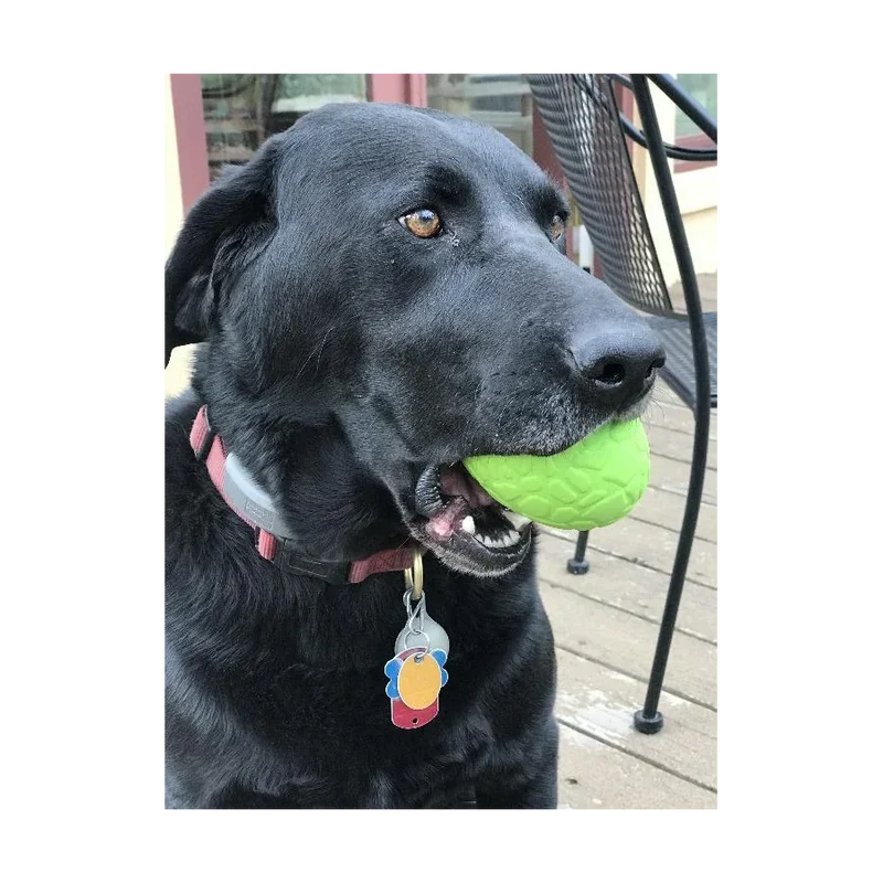 Jouet pour chien distributeur de friandises - Œuf de Dinosaure Sodapup - Ralenti les chiens gloutons et les occupe - Grande taille