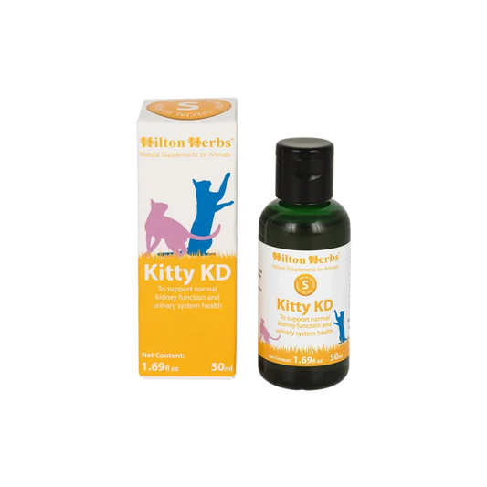 Complément alimentaire naturel liquide pour chats - Système rénal - Hilton Herbs