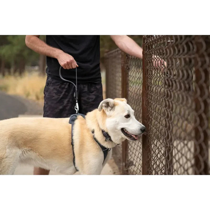 Laisse courte pour chiens - Front Range - Ruffwear - 38cm - Idéale pour la circulation en ville - Balade 