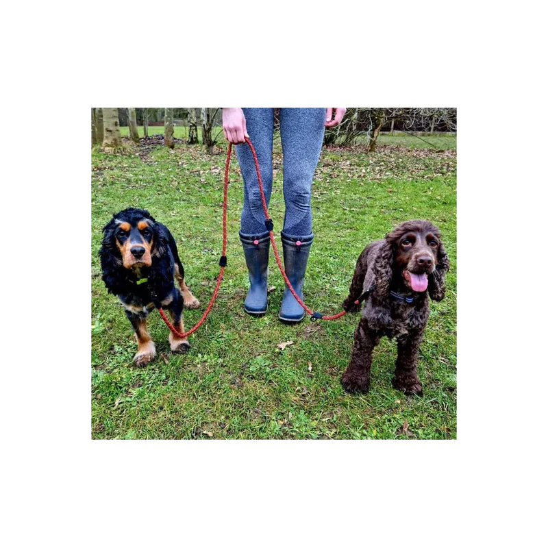 Laisse d'éducation canine et entraînement des chiens - Long Paws - Noir et orange ou rouge et orange - Réglable de 100cm à 200cm - Idéal pour tenir 2 chiens en laisse en même temps 