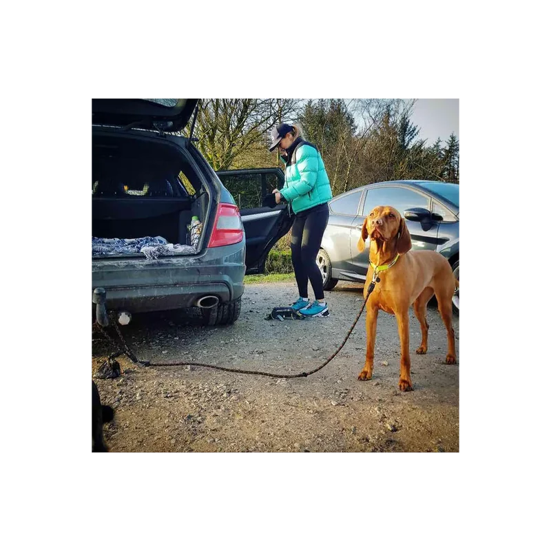 Laisse d'éducation canine et entraînement des chiens - Long Paws - Noir et orange ou rouge et orange - Réglable de 100cm à 200cm - Idéal au camping