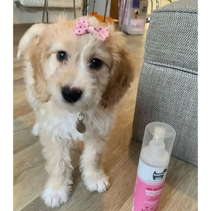 Parfum pour chiens anti-gratouilles - Got An Itch Hownd - 250ml - Soulage les démangeaisons - Vegan