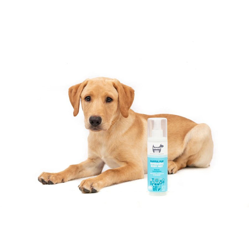 Parfum pour chien à la peau sensible et pour chiots - Playful Pup Hownd - 250ml - Vegan 
