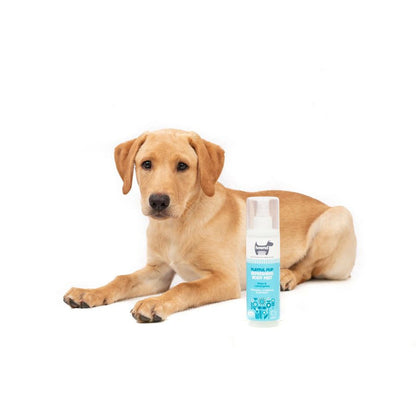 Parfum pour chien à la peau sensible et pour chiots - Playful Pup Hownd - 250ml - Vegan 