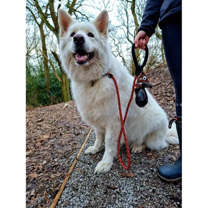 Accessoire pour transporter facilement les sacs à déjections canines de vos chiens - Poop Porter - Long Paws - idéal en attendant de trouver une poubelle et super fun 
