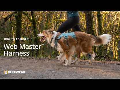 Comment régler et ajuster le harnais Web Master Ruffwear 