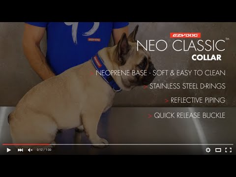 Vidéo comment ajuster le collier Neo Classic Ezydog 