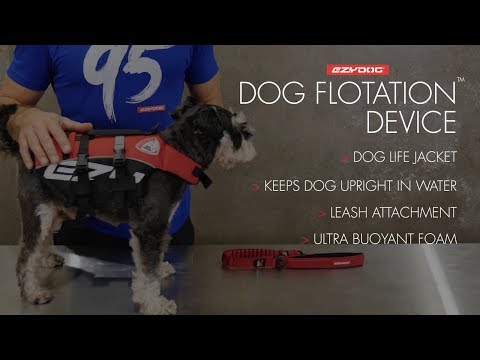 Comment ajuster le harnais de flottaison DFD Ezydog 