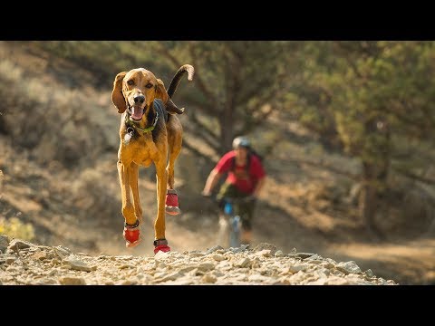 Vidéo des bottines Grip Trex Ruffwear 