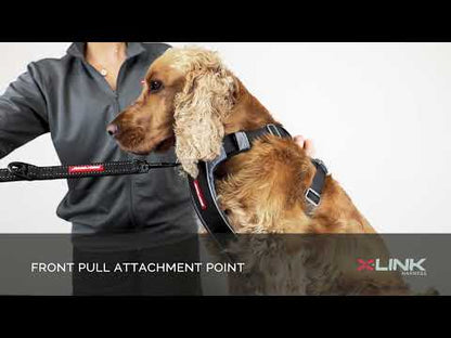 Vidéo comment ajuster le harnais X-Link de Ezydog 
