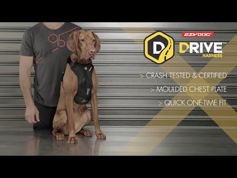 Comment ajuster le harnais de sécurité en voiture Drive Ezydog 