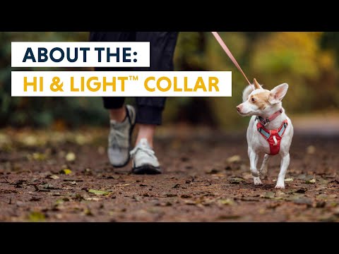 Vidéo à propos du collier Hi & Light Ruffwear 