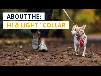 Vidéo à propos du collier Hi & Light Ruffwear 