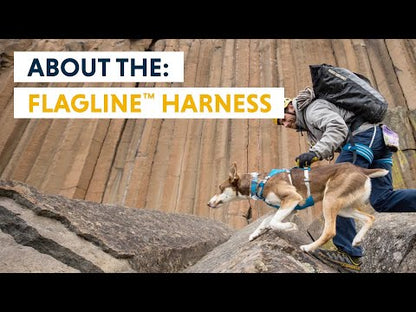 Vidéo à propos sur harnais Flagline Ruffwear. 