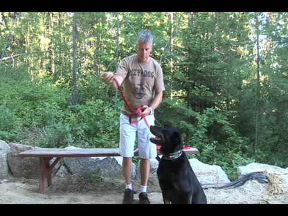 Vidéo de la laisse Vario 6 Ezydog 6 utilisations possible. 