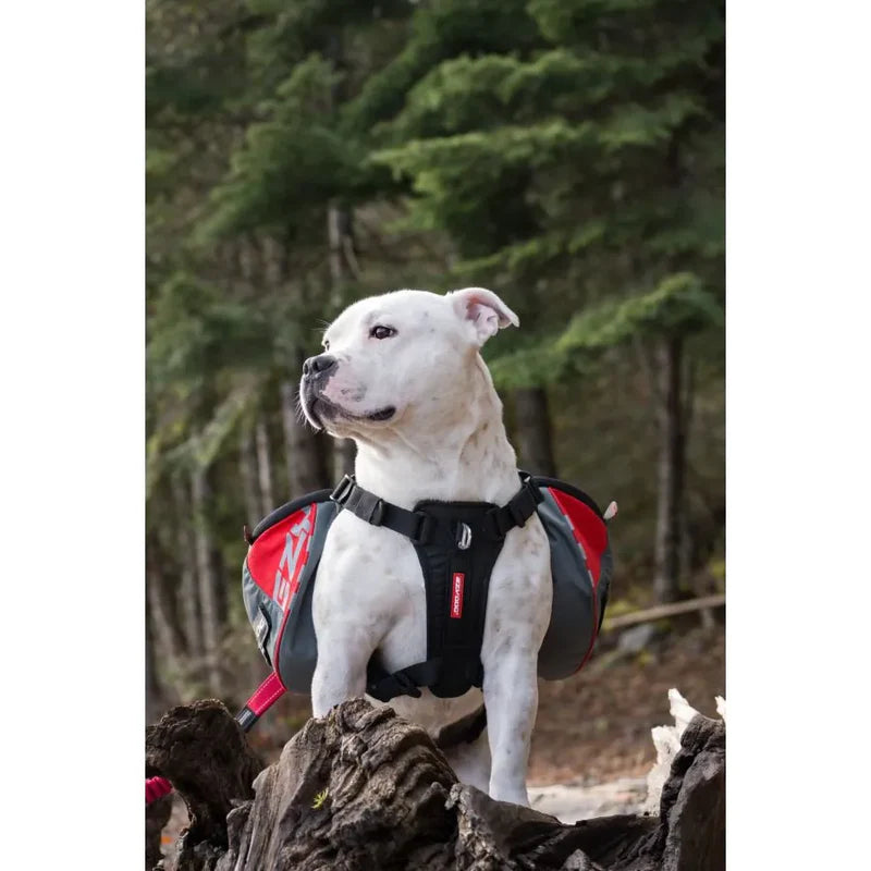 Harnais de randonnée pour chiens - Sac de bât pour chiens - Summit Backpack - Ezydog - 3 tailles - Ergonomique laisse les épaules libres de leurs mouvements 