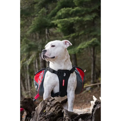 Harnais de randonnée pour chiens - Sac de bât pour chiens - Summit Backpack - Ezydog - 3 tailles - Ergonomique laisse les épaules libres de leurs mouvements 