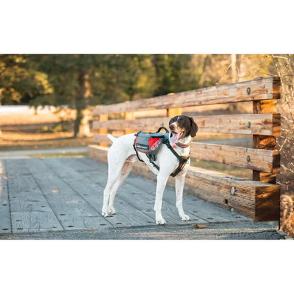 Harnais de randonnée pour chiens - Sac de bât pour chiens - Summit Backpack - Ezydog - 3 tailles - Idéal pour que votre chien porte ses affaires 
