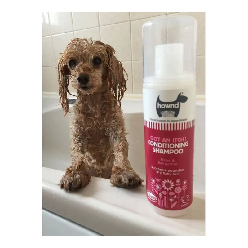 Shampoing pour chiens, chats et chevaux - Anti-démangeaisons - Got An Itch Hownd - 250ml - Toilettage