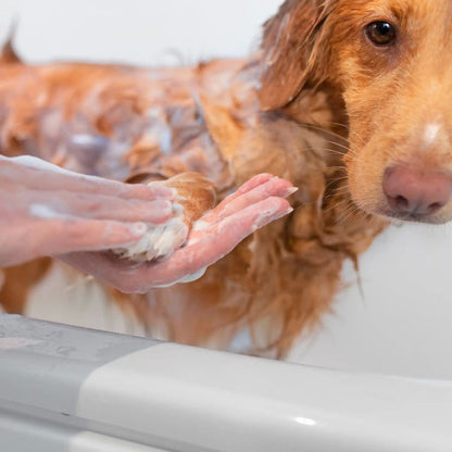 Shampoing pour chiens qui puent - Hownd - 250ml - Vegan & Cruelty Free - Toilettage