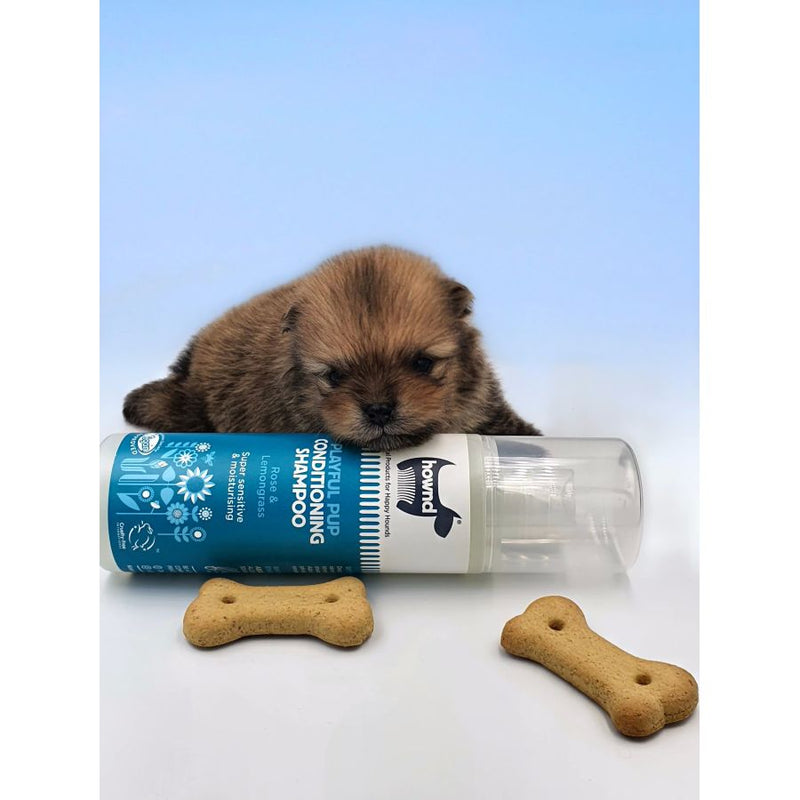 Shampoing pour chiots et chiens adultes à la peau sensible Playful Pup - Hownd - 250ml  Vegan & Cruelty Free - Toilettage 