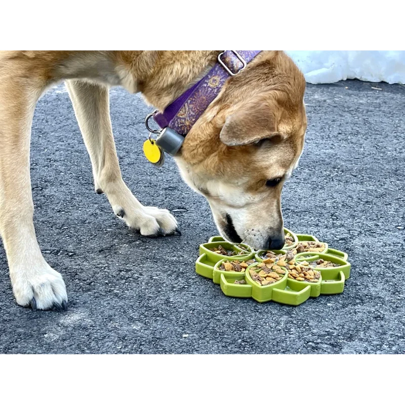 Tapis de léchage pour chiens - Mandala Sodapup - Anti-glouton