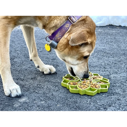 Tapis de léchage pour chiens - Mandala Sodapup - Anti-glouton