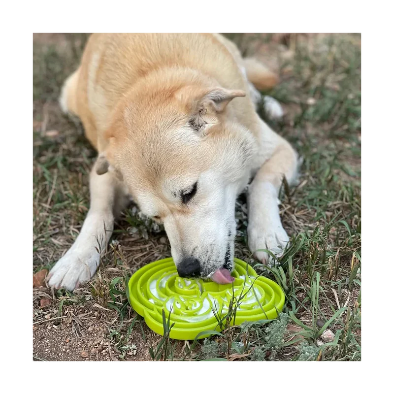 Plateau d'enrichissement pour chiens - Ralenti l'ingestion de la ration - Water Frog Sodapup - Occupation