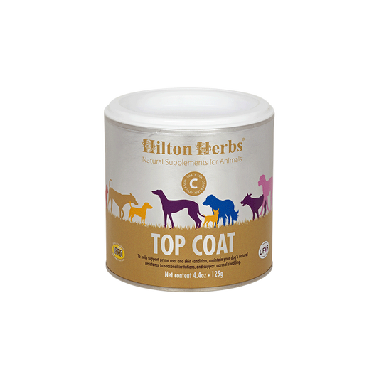 Top Coat Hilton Herbs – Complément peau et poil pour chien 250ml