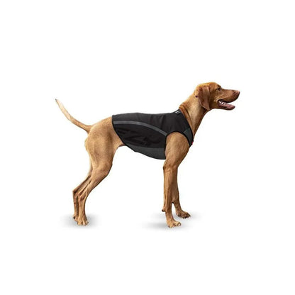 Veste pour chiens coupe-vent avec maintien de chaleur grâce à sa conception unique - Thermax Ezydog - Prêt du corps - 2 coloris - 4 tailles - Noire 