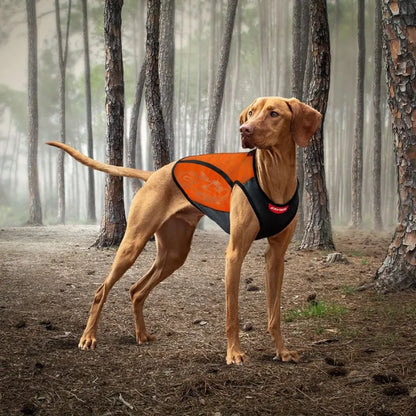 Veste pour chiens coupe-vent avec maintien de chaleur grâce à sa conception unique - Thermax Ezydog - Prêt du corps - 2 coloris - 4 tailles - Orange visibilité en forêt et période de chasse - Imperméable 